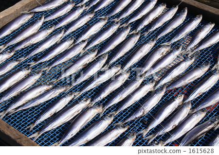 Walk along the beach Walk along the beach 1615628