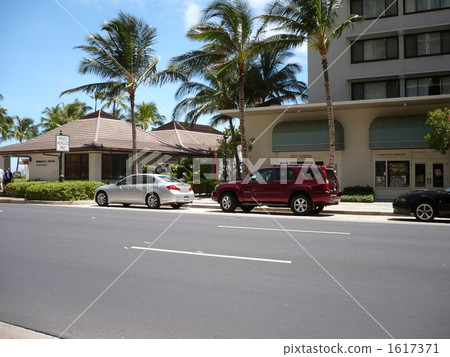 在檀香山的道路 1617371
