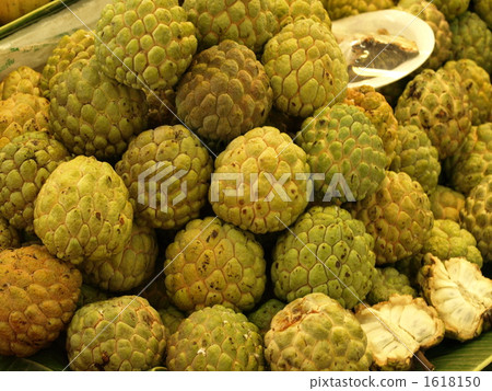 森林冰淇淋 1618150