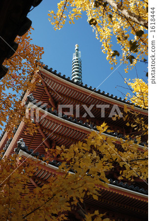 Autumnal leaves and five-storied pagoda 1618444