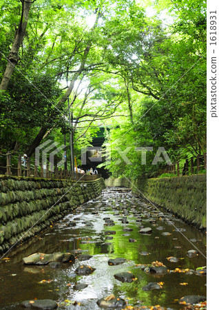  Todoroki山谷 1618931