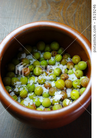 Pickled plum in plum 1619246
