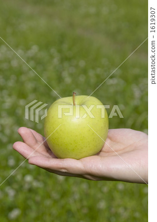 green apple, held, hold 1619307