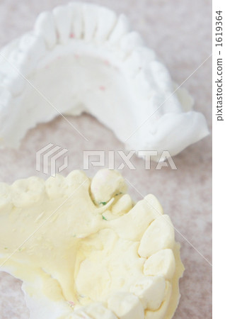 Tooth profile model Tooth profile model 1619364