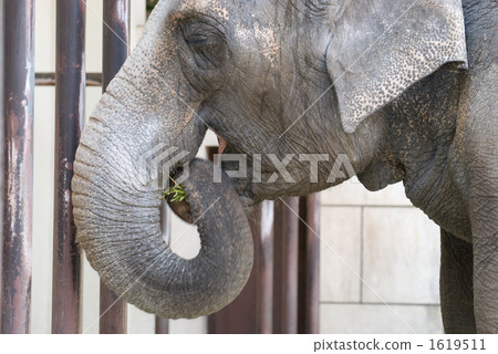 放鬆一頓 1619511