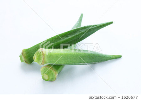 Okura 03 1620677