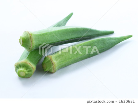 秋葵04 秋葵04 1620681