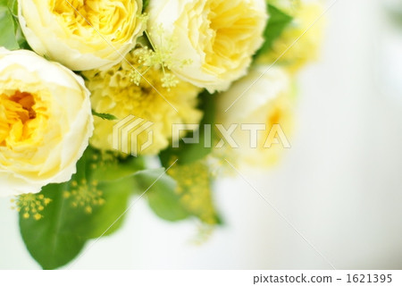 花束 玫瑰花 白色 1621395