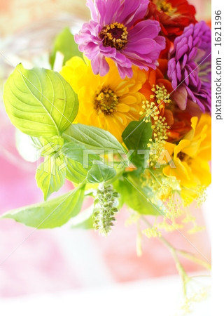 花束 百日草 橙色 1621396