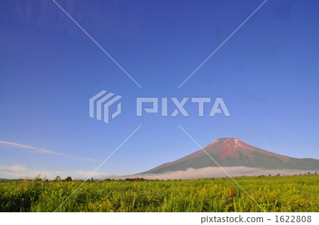 富士山 自衛隊 山中湖村 1622808