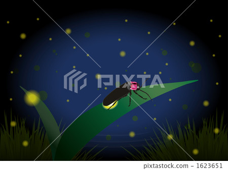 Firefly 2 Firefly 2 1623651