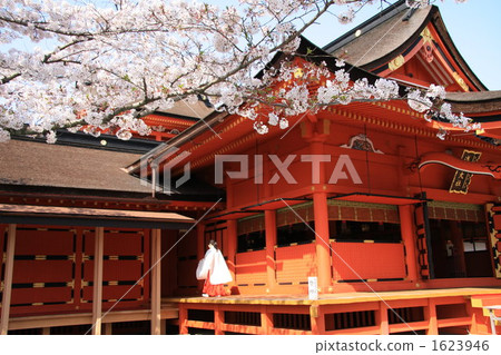 shrine, sengen taisha, fujinomiya 1623946