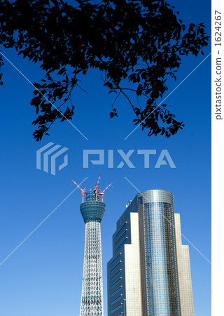 Sumida ward office and sky tree 1624267