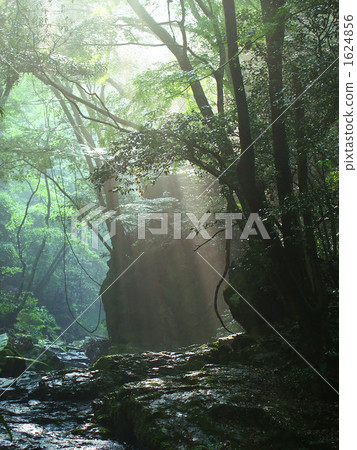 canyon, valley, fog 1624856