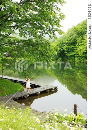 池塘 鹹水湖 湖泊 1624918
