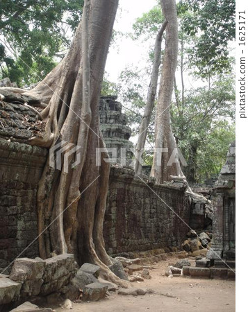 strong, angkor, siem reap 1625171