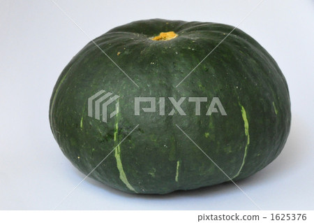 Pumpkin Pumpkin 1625376