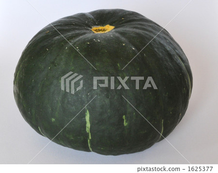 pumpkin pumpkin 1625377