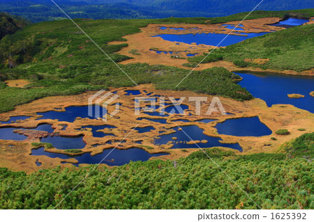 Flats of autumn swamp Flats of autumn swamp 1625392