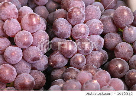 Grape Delaware 1625585