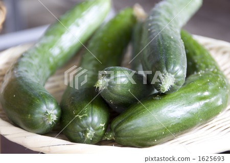 vegetables, vegetable, cucumber 1625693