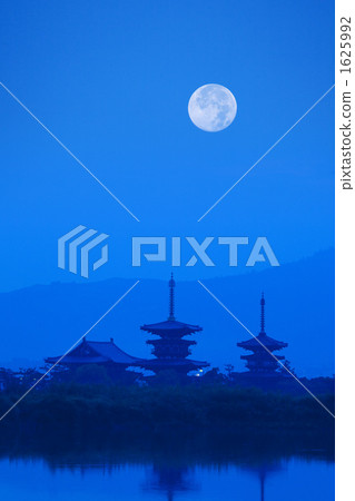 Synthesis of Yakushiji and Moon 1625992