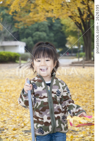 Fallen leaves 1626395