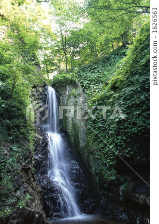 tree, waterfall, green leaf 1626561
