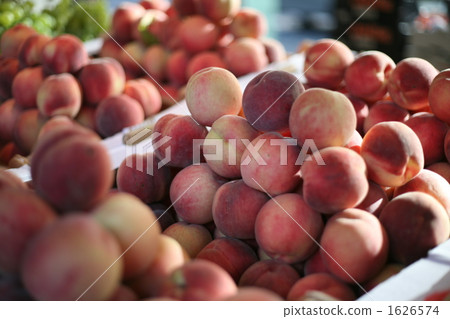 桃山 桃山 1626574