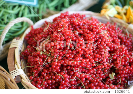 Groseille (Red currant) 1626641