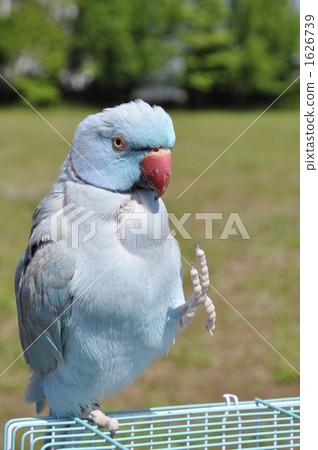 好天氣 好天氣 1626739