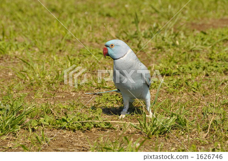 In a large park ... In a large park ... 1626746