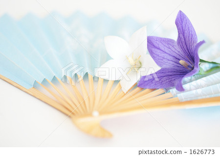 Kikyo-07 ■ Folding Fan - 1626773