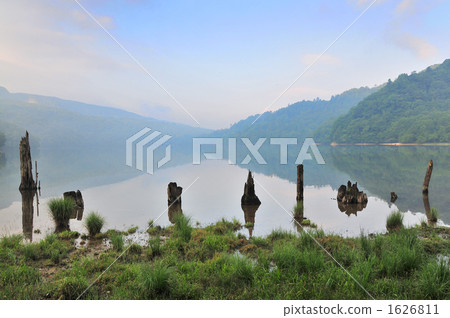 Marunuma和死樹在清晨 1626811