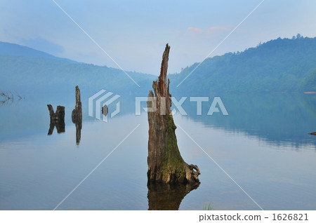 Marunuma和死樹在清晨 Marunuma和死樹在清晨 1626821