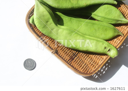 sword bean, compare, comparison 1627611