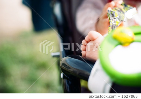 腳 英尺 爪子 1627865