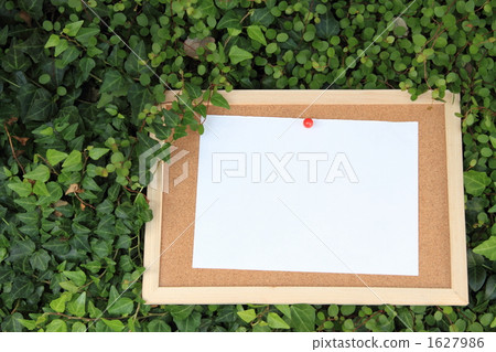 Blank paper cork board Ivy Wire plants ② Blank paper cork board Ivy Wire plants ② 1627986