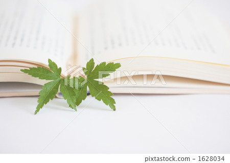 Momiji-01■秋葉·書（閱讀圖片） 1628034