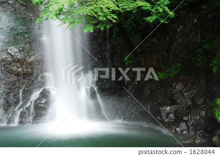 Summer of Minoh Otaki 1628044