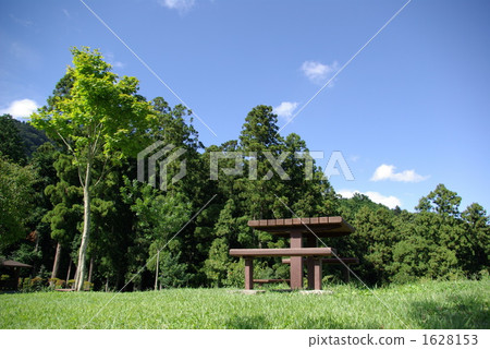 在公園哪裡吃午餐盒 在公園哪裡吃午餐盒 1628153