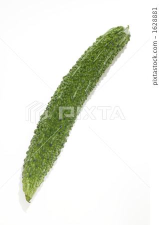 bitter melon, balsam pear, charantia 1628881