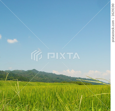 countryside 1629190