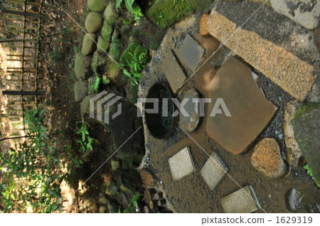 Meiji Jingu Shrine Kiyosui Power Spot Meiji Jingu Shrine Kiyosui Power Spot 1629319