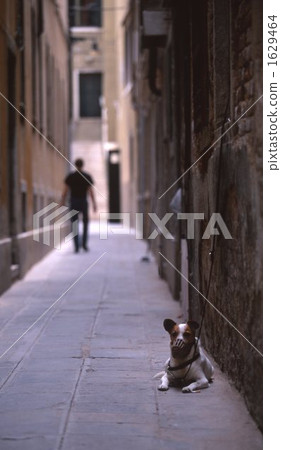 Venice 1629464