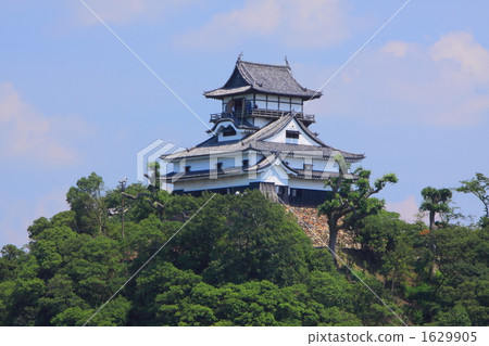 Summer dog mountain castle 1629905