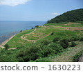 Scenery seen from 1,000 sheets 1630223