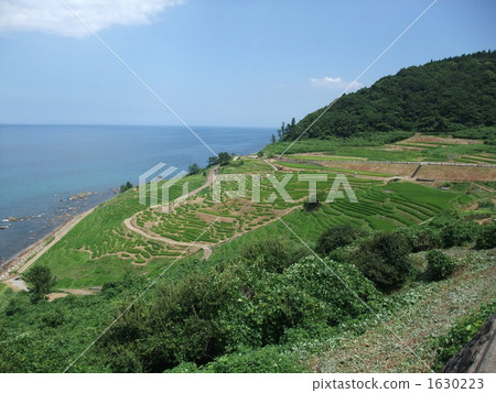 Scenery seen from 1,000 sheets Scenery seen from 1,000 sheets 1630223