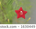 Rakousou 1630449