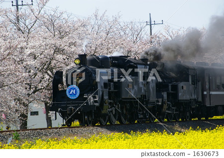 Moka railway (C11 steam locomotive) № 1 Moka railway (C11 steam locomotive) № 1 1630673
